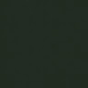 Meet your Posher, Tamika